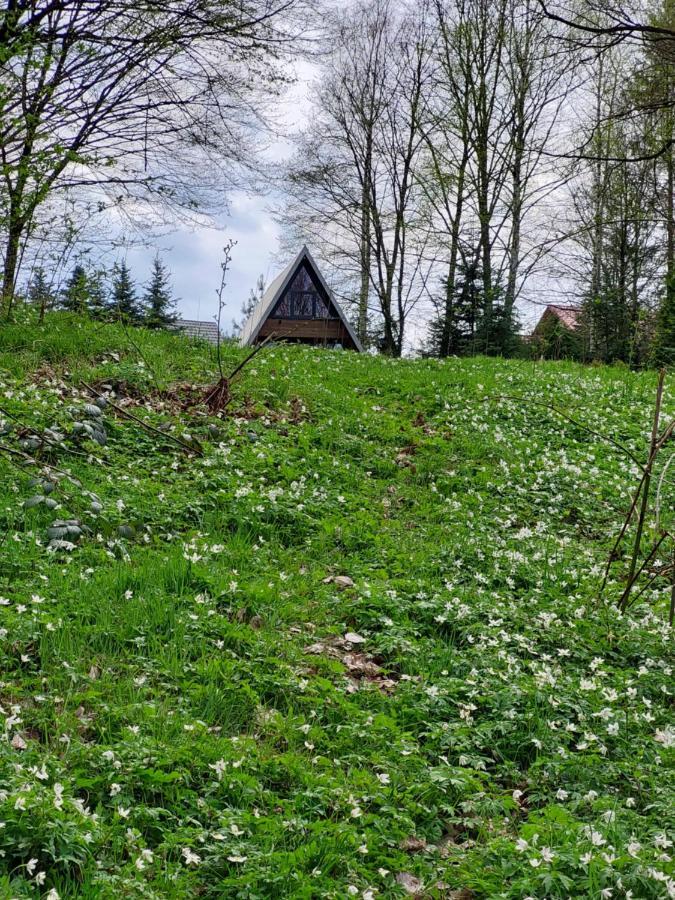 U Hanki Żywiec Esterno foto